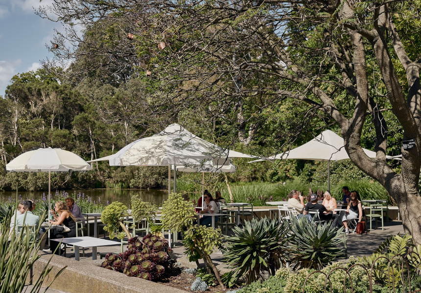 The Terrace