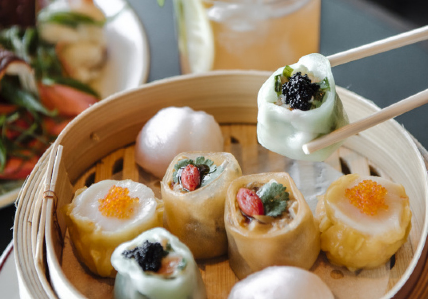 Best Takeaway Dumplings in Sydney