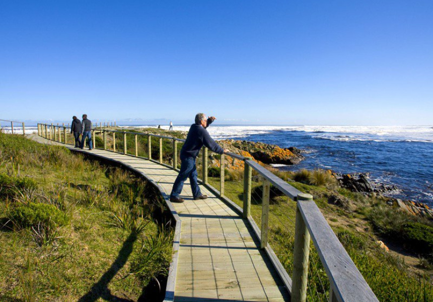 Tarkine Drive